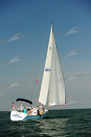 2014 Cape Charles Cup A 554