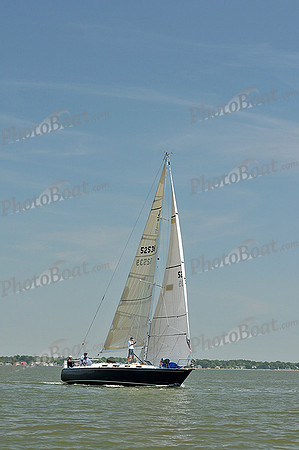 2013 Southern Bay Race Week A 370