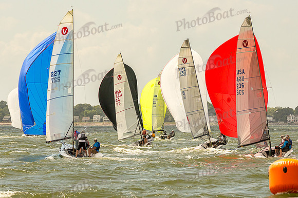 DBP_8003