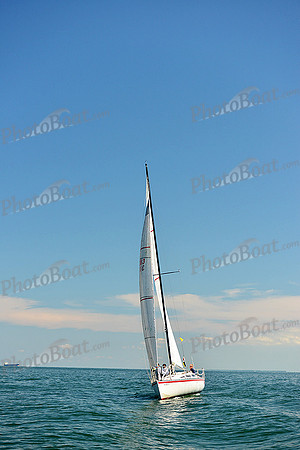 2015 Cape Charles Cup C 803