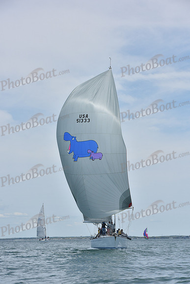 2019 Figawi_1656