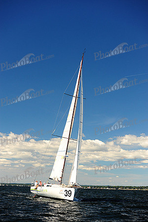 2014 Vineyard Race A 725