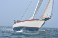 2022 Newport Bermuda_1612