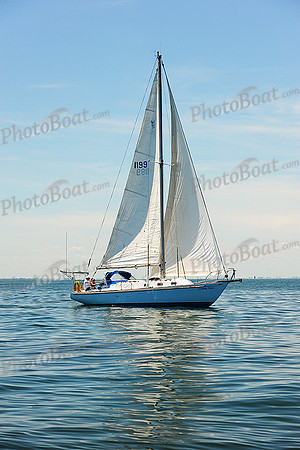2015 Cape Charles Cup B 274