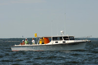 2011 Screwpile A 319