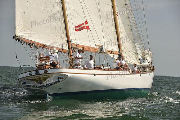 2018 Vineyard Cup A_0327