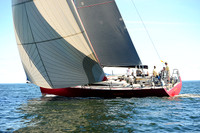 2014 Vineyard Race A 1879