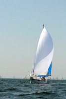 2012 Vineyard Race A 299