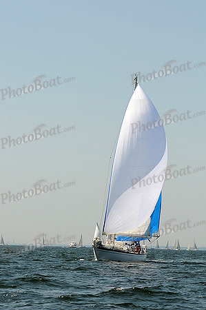 2012 Vineyard Race A 299