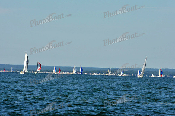 2010 Leukemia Cup B 513