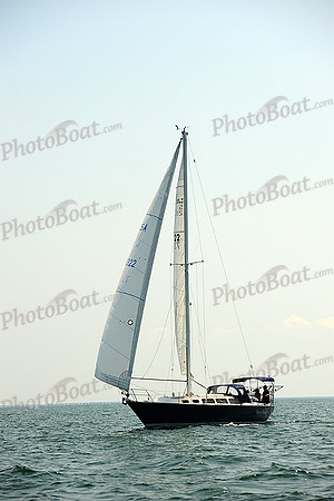 2014 Cape Charles Cup A 557