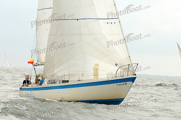 2012 Cape Charles Cup A 1676