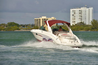 2019 Feb 10 Tampa Bay B_0481