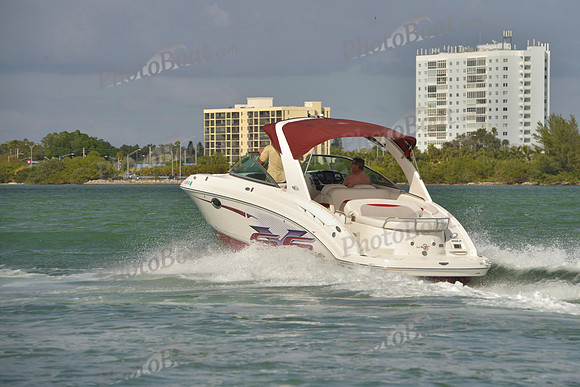 2019 Feb 10 Tampa Bay B_0481