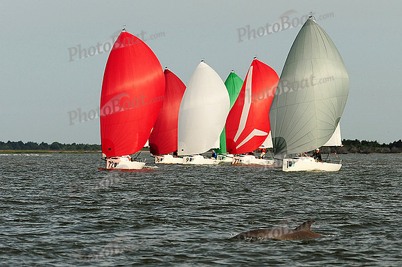 2015 Charleston Race Week D 199