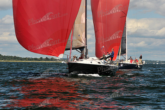 2010 IRC LIS 1441