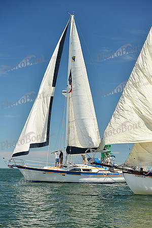 2015 Cape Charles Cup A 1052