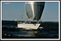 proof_2010_Vineyard_Race_0423