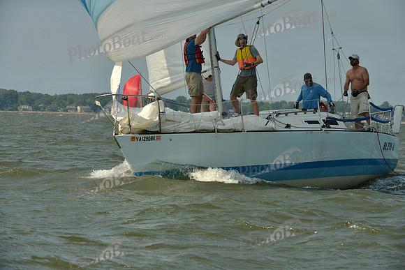 2016 Southern Bay Race Week B_0764