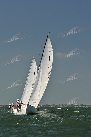 2012 Thistle Midwinters C 212