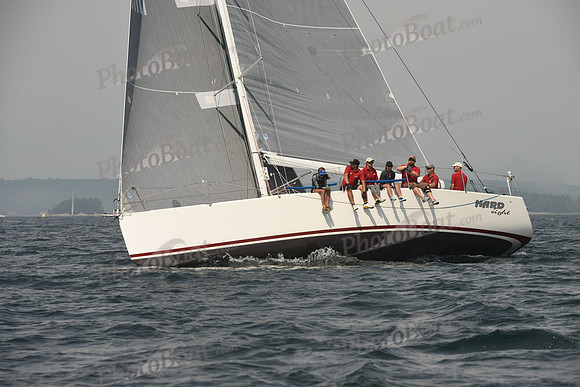 2016 Chester Race Week C_0029