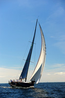 2014 Vineyard Race A 1887