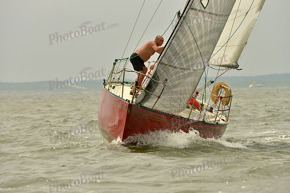 2016 Southern Bay Race Week A_0776