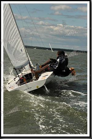proof_2010_EScows_B 802