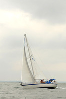Bay Dreamer