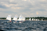 2011 Opti Area C 347