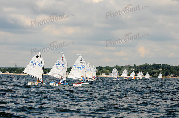 2011 Opti Area C 347