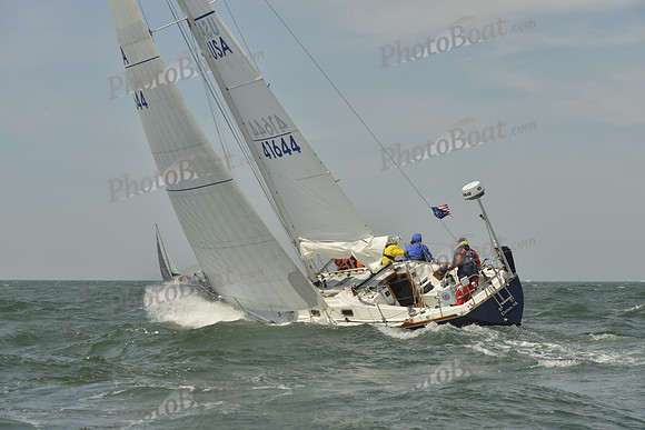 2018 Figawi_1008
