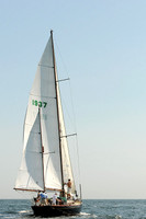2012 Vineyard Race A 059