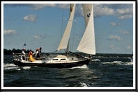 proof_2010_Vineyard_Race_0090
