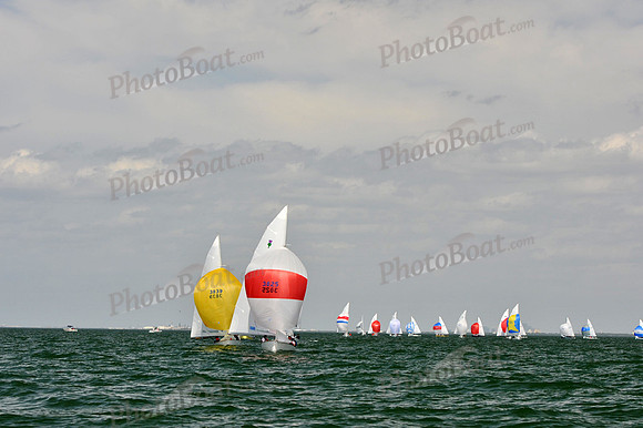 2012 Thistle Midwinters B 1430