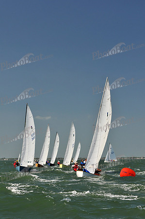 2012 Thistle Midwinters C 232