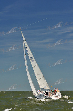 2014 Southern Bay Race Week D 1114