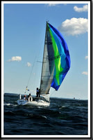 proof_2010_Vineyard_Race_0265