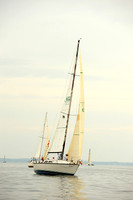 2014 Gov Cup A 519