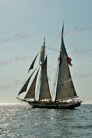 2017 St Petersburg Habana Race_1805