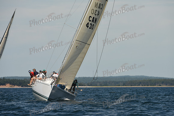 2016 Chester Race Week A_0006