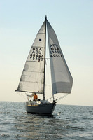 2013 Vineyard Race A 1864