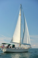 2015 Cape Charles Cup C 264