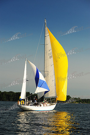 2015 Gov Cup D 230