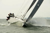 2015 Vineyard Race A 1384