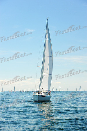 2015 Cape Charles Cup B 242
