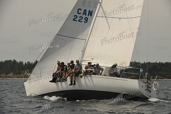 2016 Chester Race Week C_0364
