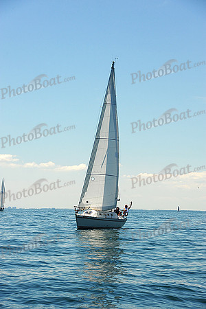 2015 Cape Charles Cup B 239
