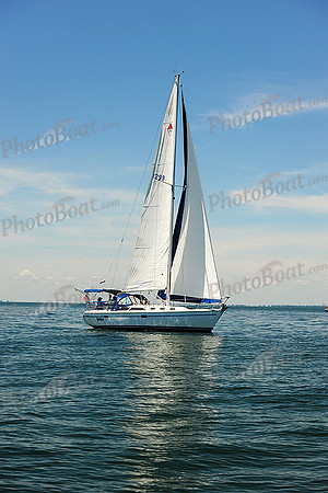 2015 Cape Charles Cup B 263