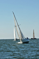 2010 Leukemia Cup 304